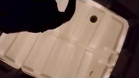 Snapshot of waffywaff77 chatting on December 4, 2025, 1:09 pm waffywaff77 online show from December 4, 2025, 1:09 pm