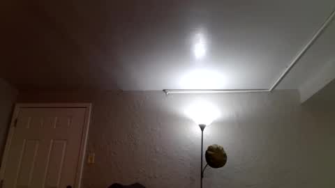 Snapshot of wantstoperform chatting on November 23, 2025, 12:16 pm wantstoperform online show from November 23, 2025, 12:16 pm