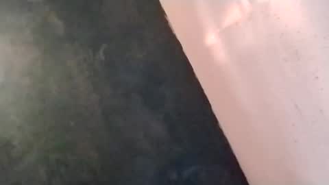 Snapshot of watchmespun chatting on November 16, 2025, 9:31 pm watchmespun online show from November 16, 2025, 9:31 pm