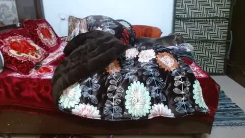 khushiwife kabirhubby kavyasexy gf online show from December 23, 2024, 12:08 pm