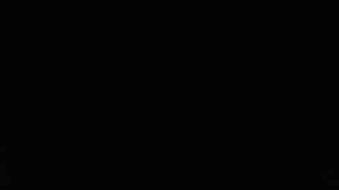 Trixie 3 online show from July 17, 2026, 7:52 pm