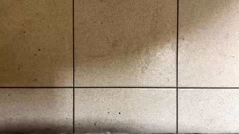 Snapshot of webchatter99 chatting on January 2, 2025, 7:33 am webchatter99 online show from January 2, 2025, 7:33 am