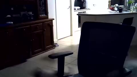 Snapshot of wellhelloo chatting on February 15, 2026, 12:36 pm Wellhelloo online show from February 15, 2026, 12:36 pm