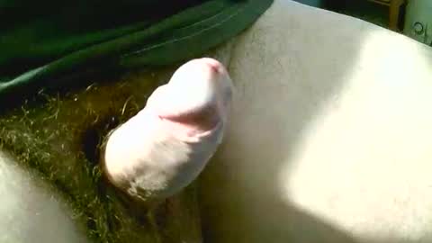 welshstuds online show from September 11, 2025, 11:32 am