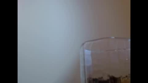 Snapshot of wenndy_ardent chatting on May 29, 2026, 2:04 pm TaTis online show from May 29, 2026, 2:04 pm