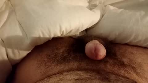 Werty online show from December 12, 2024, 11:47 pm