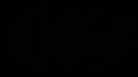 Denise Debs online show from March 16, 2026, 5:17 pm