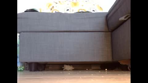 Snapshot of wet_pants2022 chatting on March 3, 2025, 4:46 pm wet_pants2022 online show from March 3, 2025, 4:46 pm