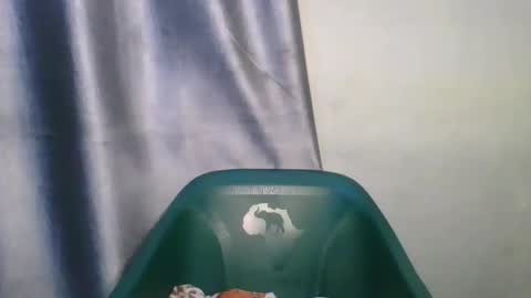 wetfatpussy_ online show from February 12, 2026, 6:58 pm