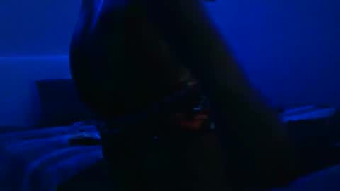 Snapshot of wetwildbigdick305 chatting on February 3, 2025, 10:36 am wetwildbigdick305 online show from February 3, 2025, 10:36 am