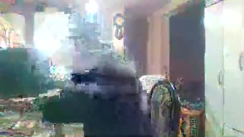 wg_colbert_noir online show from September 18, 2025, 8:55 pm