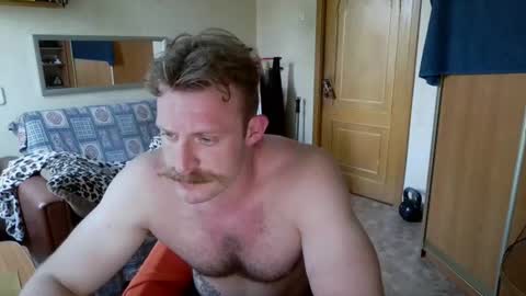 WhiteBull online show from June 30, 2026, 2:40 pm