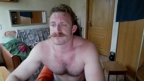 WhiteBull online show from July 2, 2026, 2:34 pm