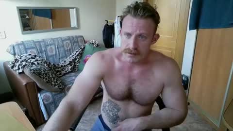 WhiteBull online show from August 2, 2026, 11:41 am