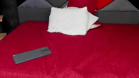 Snapshot of whitedylan9 chatting on March 10, 2025, 9:29 pm Dylan white online show from March 10, 2025, 9:29 pm