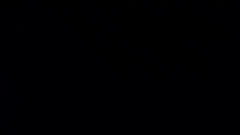 Snapshot of whitehead_lion chatting on January 20, 2025, 7:57 pm whitehead_lion online show from January 20, 2025, 7:57 pm