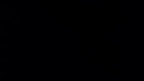 Snapshot of whitehead_lion chatting on February 21, 2025, 5:31 pm whitehead_lion online show from February 21, 2025, 5:31 pm