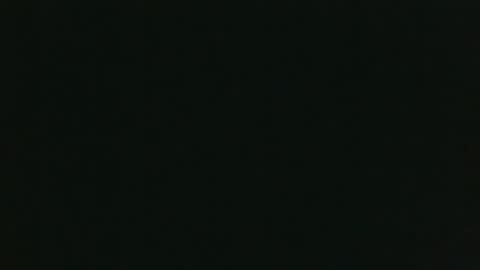 Snapshot of whitehead_lion chatting on December 15, 2025, 8:24 pm whitehead_lion online show from December 15, 2025, 8:24 pm