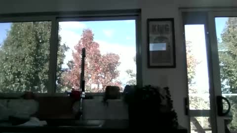 Snapshot of whitepantyman1973 chatting on April 29, 2026, 3:10 am whitepantyman1973 online show from April 29, 2026, 3:10 am