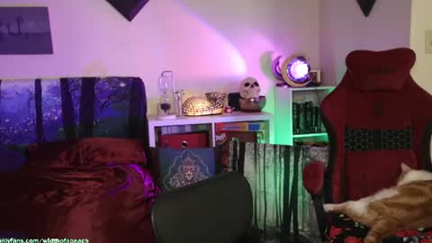 Snapshot of widthofapeach chatting on July 21, 2026, 2:47 am Gretchen Jimmy online show from July 21, 2026, 2:47 am