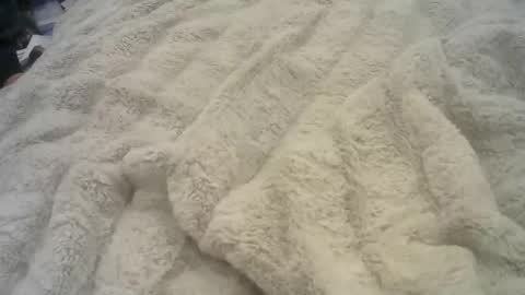 Ryder Harder online show from February 13, 2025, 9:41 am