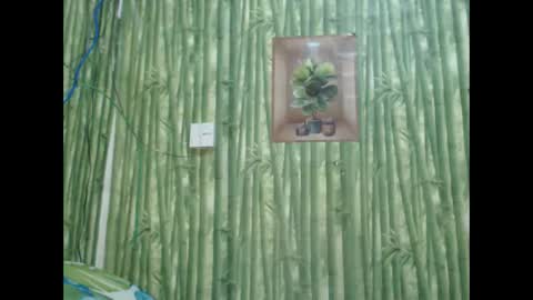 Snapshot of wild_pamela chatting on December 8, 2024, 6:01 am loving trans Pamela online show from December 8, 2024, 6:01 am