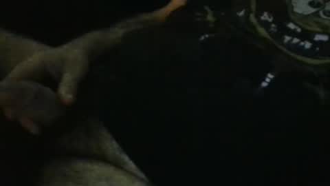 Snapshot of wildealexyz chatting on September 28, 2025, 11:21 pm WildeAlex online show from September 28, 2025, 11:21 pm