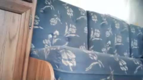 Snapshot of wildman6 chatting on June 20, 2026, 12:41 pm wildman6 online show from June 20, 2026, 12:41 pm
