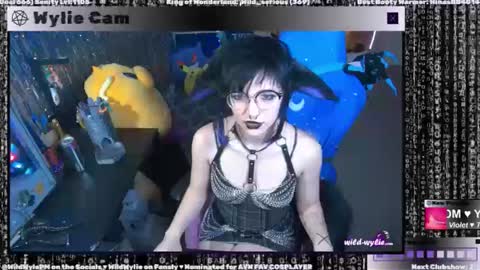 Snapshot of wildwylie chatting on January 3, 2025, 4:00 am Wylie Wanderlust online show from January 3, 2025, 4:00 am