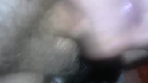 willcam22 online show from April 15, 2026, 3:08 pm