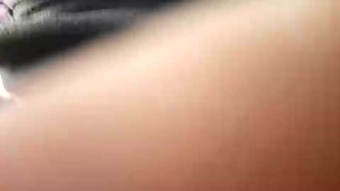 willdigi1 online show from January 6, 2025, 3:42 am