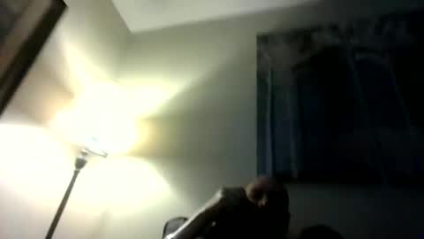 Willhedoher online show from March 1, 2026, 12:51 pm