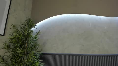 Ms Willow online show from February 20, 2025, 4:25 pm