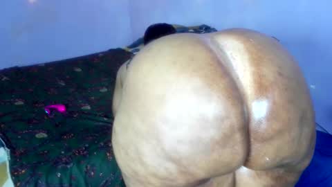 wilmaassylum online show from December 1, 2025, 8:52 am