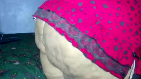 wilmaassylum online show from March 4, 2026, 6:41 am