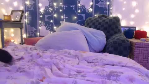 Snapshot of wingardiumleveveosa chatting on December 19, 2024, 6:23 am Eevie online show from December 19, 2024, 6:23 am