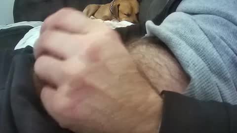 wmasolutions2020 online show from March 16, 2026, 8:57 pm