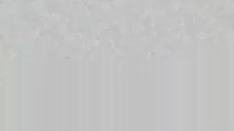 wolfsand online show from June 16, 2026, 6:54 pm