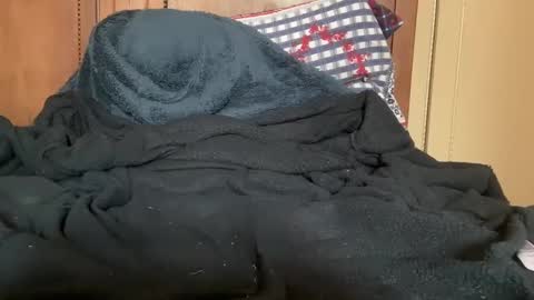 wonkywillywanks online show from January 31, 2025, 12:51 pm