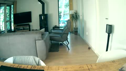 Snapshot of woodwurm chatting on June 19, 2026, 5:34 am woodwurm and Snoeske online show from June 19, 2026, 5:34 am