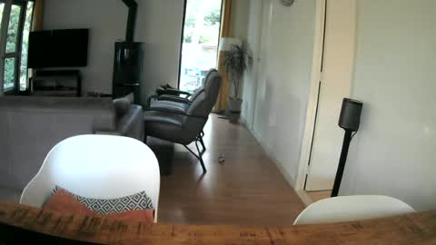 Snapshot of woodwurm chatting on June 25, 2026, 5:12 am woodwurm and Snoeske online show from June 25, 2026, 5:12 am