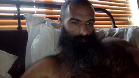 woof_wolf37 online show from February 1, 2026, 3:10 pm