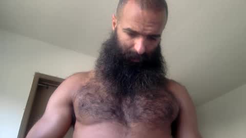 woof_wolf37 online show from May 19, 2026, 3:40 pm