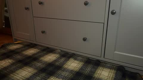 Snapshot of wookmortyy chatting on December 21, 2025, 4:25 pm Sage online show from December 21, 2025, 4:25 pm