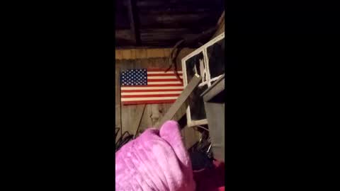 wowsers7 online show from March 25, 2026, 4:40 am