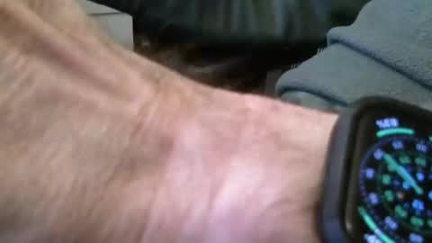 Snapshot of wrangleat0r chatting on November 16, 2025, 9:20 pm wrangleat0r online show from November 16, 2025, 9:20 pm