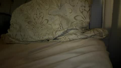 Snapshot of x_dreamgirl_x chatting on November 29, 2025, 4:59 am Mariah online show from November 29, 2025, 4:59 am