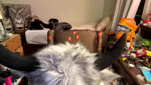 xander0zzz online show from March 13, 2026, 5:58 am