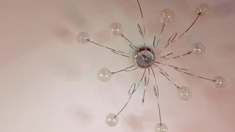 Snapshot of xannell chatting on February 20, 2026, 1:44 pm Elvin online show from February 20, 2026, 1:44 pm