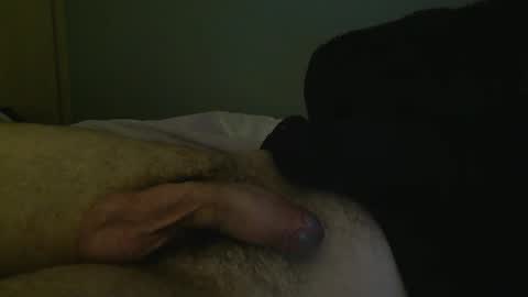 Snapshot of xarrup chatting on March 17, 2026, 12:48 am xarrup online show from March 17, 2026, 12:48 am